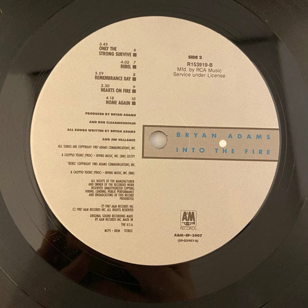 Used Vinyl Bryan Adams – Into The Fire LP USED VG++/VG+ Record Club Version J060523-11