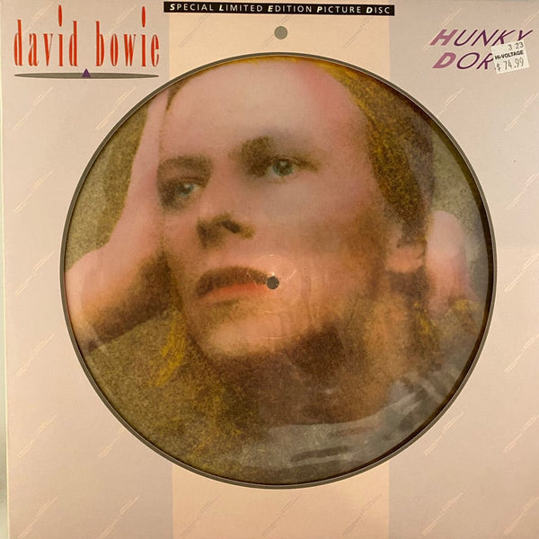 Used Vinyl David Bowie – Hunky Dory LP USED VG++/VG++ Picture Disc J031223-06