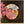 Used Vinyl Fleetwood Mac – Penguin LP USED VG++/VG+ J050123-06