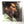 Used Vinyl Jerry Lee Lewis - A Taste Of Country LP SEALED NOS USED 9117