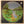 Used Vinyl Miles Davis – Tallest Trees 2LP USED NM/VG 1972 Pressing J060724-12