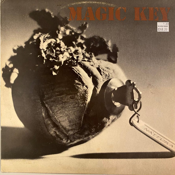 Used Vinyl Náttúra – Magic Key LP USED VG+/VG+ Original Iceland Pressing J011223-13