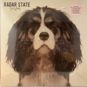 Used Vinyl Radar State – Strays LP USED NOS STILL SEALED Get Up Kids J013023-12