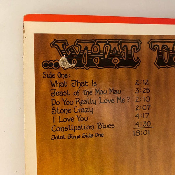 Used Vinyl Screamin' Jay Hawkins – ...What That Is! LP USED VG+/VG J010424-06