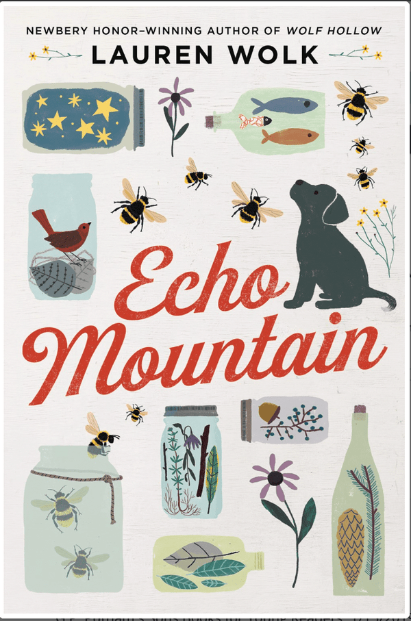 New Book Echo Mountain - Wolk, Lauren - Hardcover 9780525555568