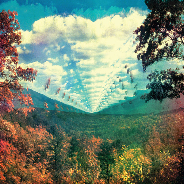 New Vinyl Tame Impala - Innerspeaker 2LP NEW 10003132